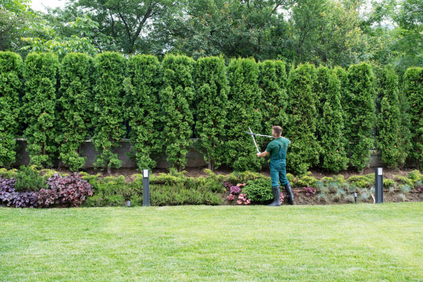 Lawn Pest Prevention in Wymore, NE